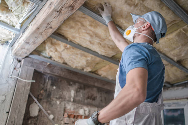 Best Insulation Installation Services in Simpsonville, KY
